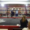 Amateur Boxing Show